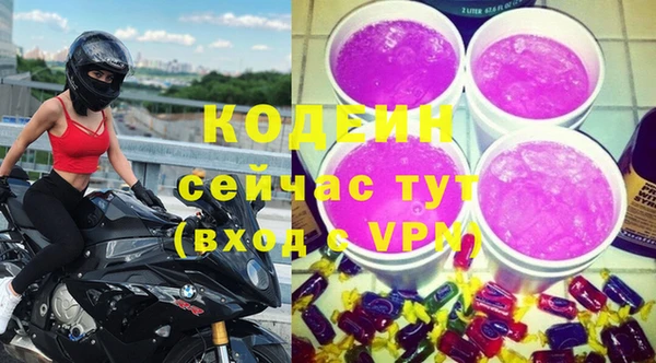 крисы Мегион