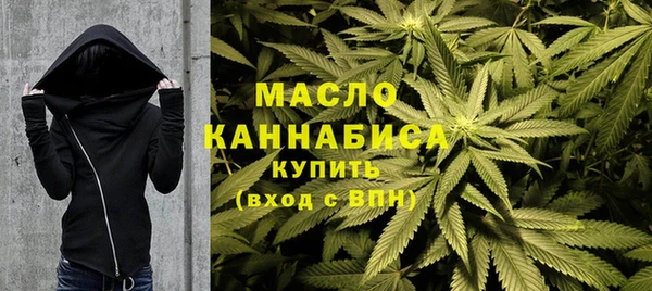 крисы Мегион