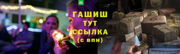 крисы Мегион