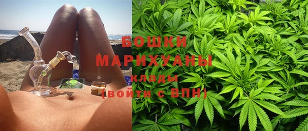 ГАЛЛЮЦИНОГЕННЫЕ ГРИБЫ Медногорск