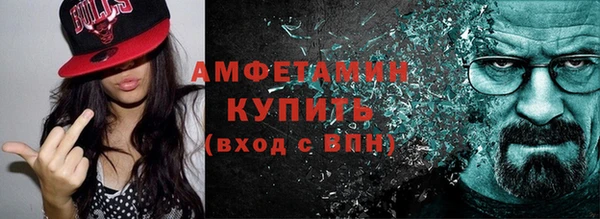 крисы Мегион