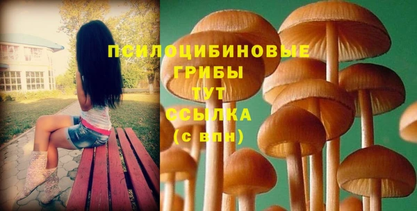 крисы Мегион