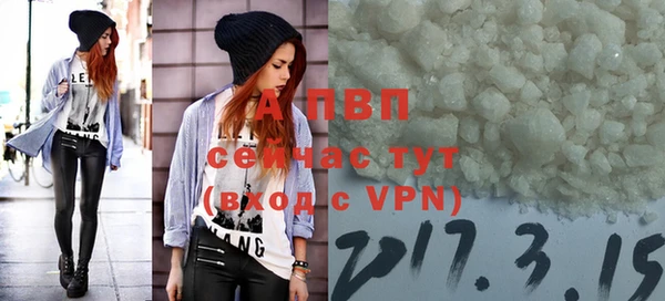 крисы Мегион