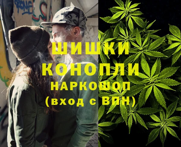 крисы Мегион